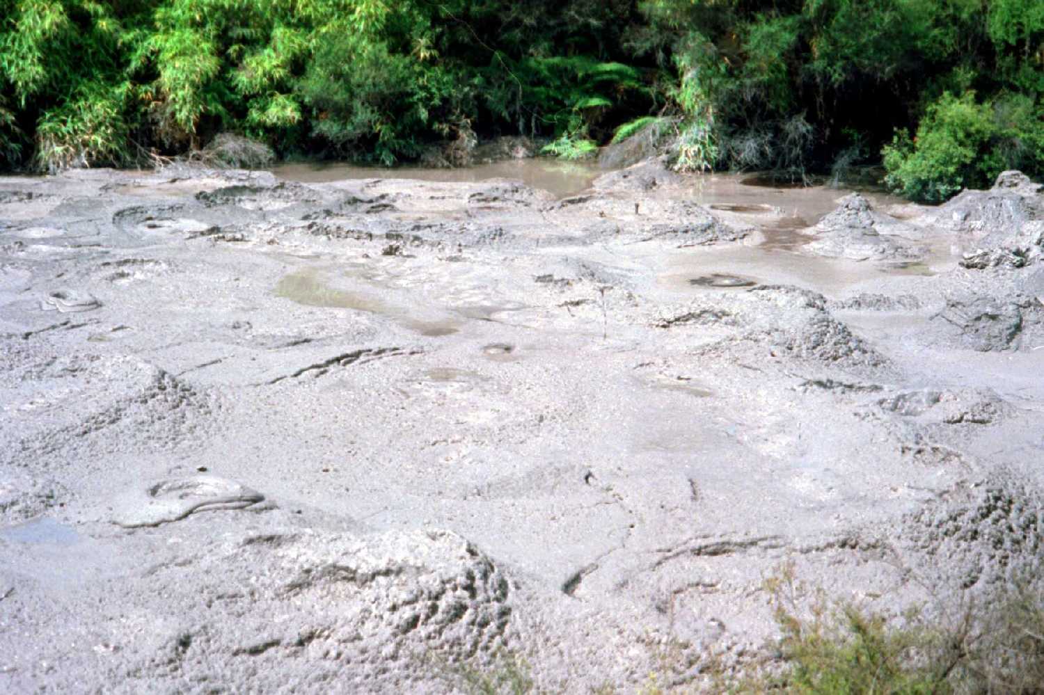Mud Pools