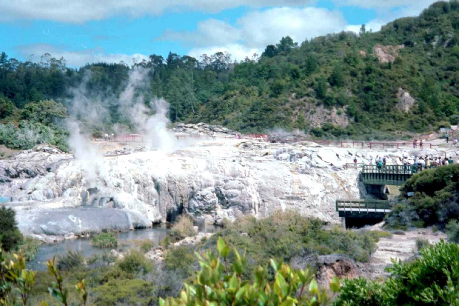 Te Whakarewarewu Thermal Reserve
