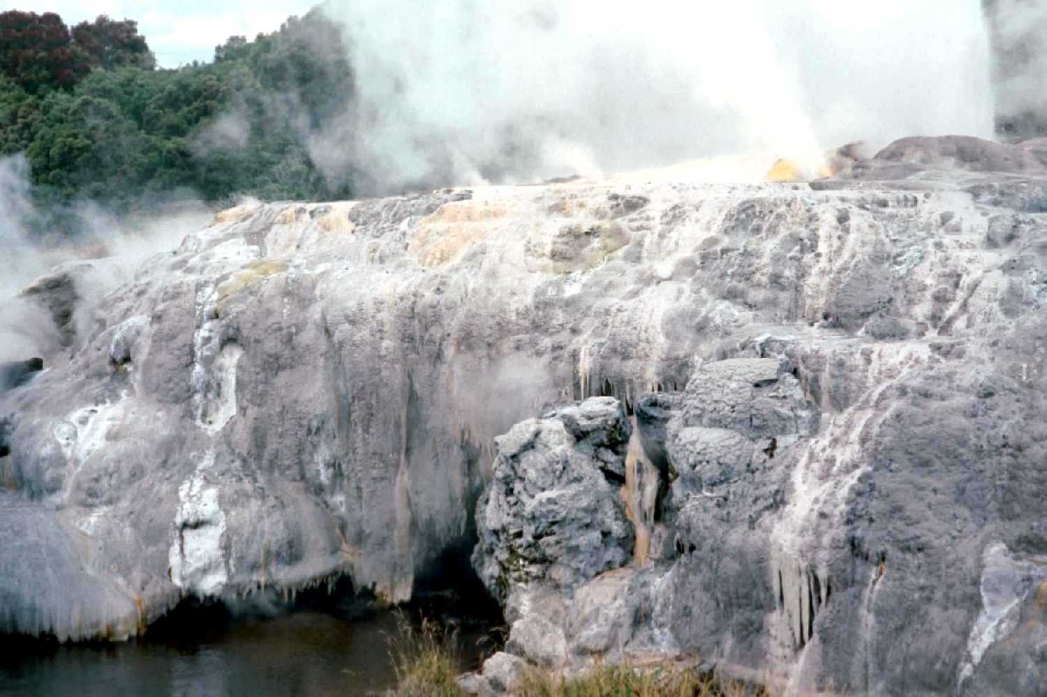 Te Whakarewarewu Thermal Reserve