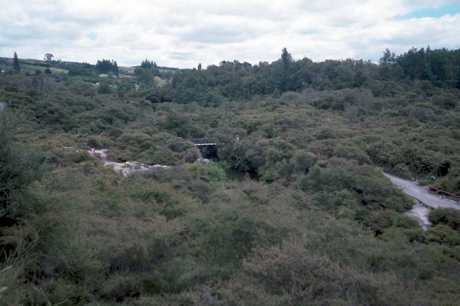 Te Whakarewarewu Thermal Reserve