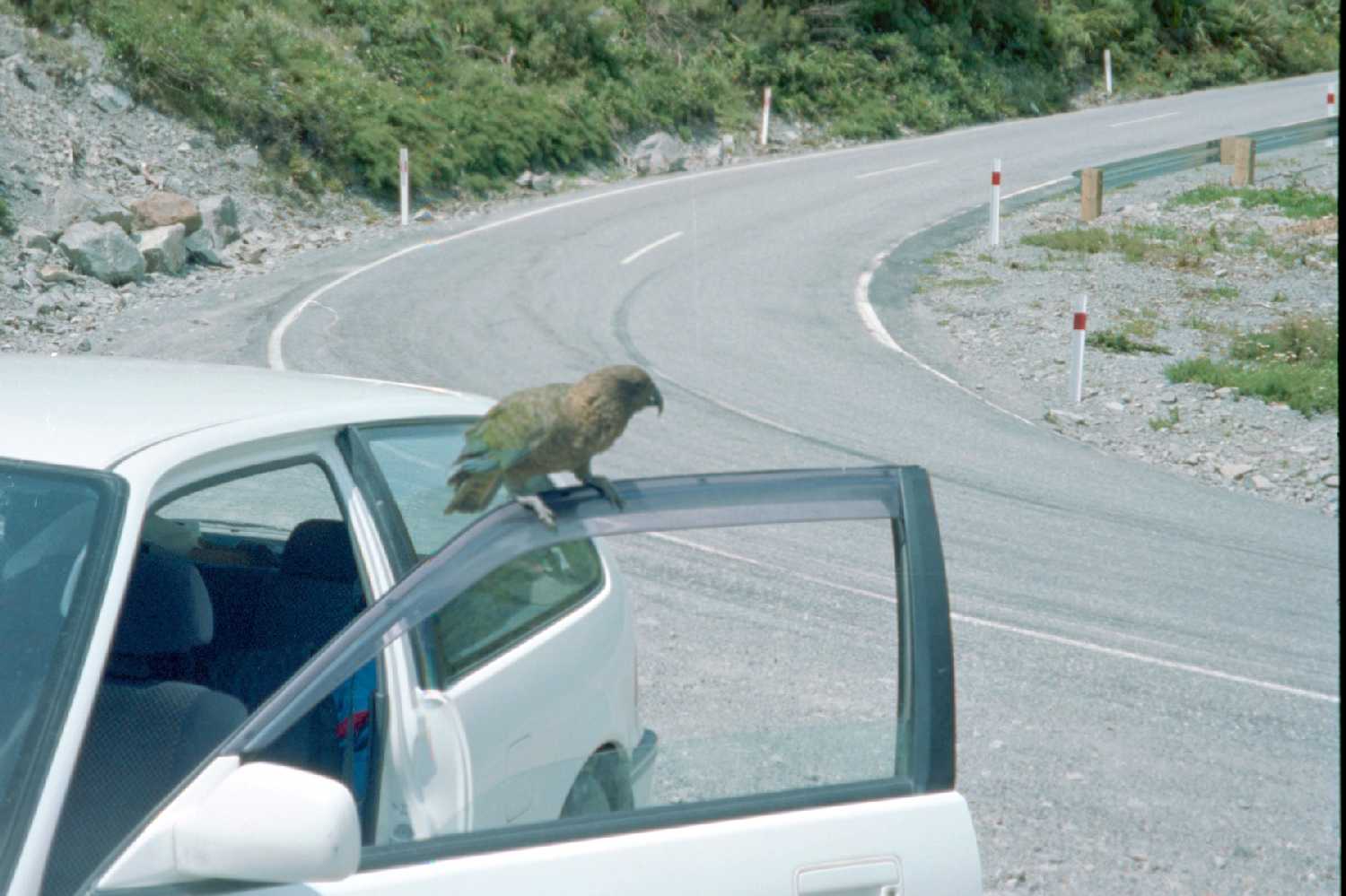 Kea
