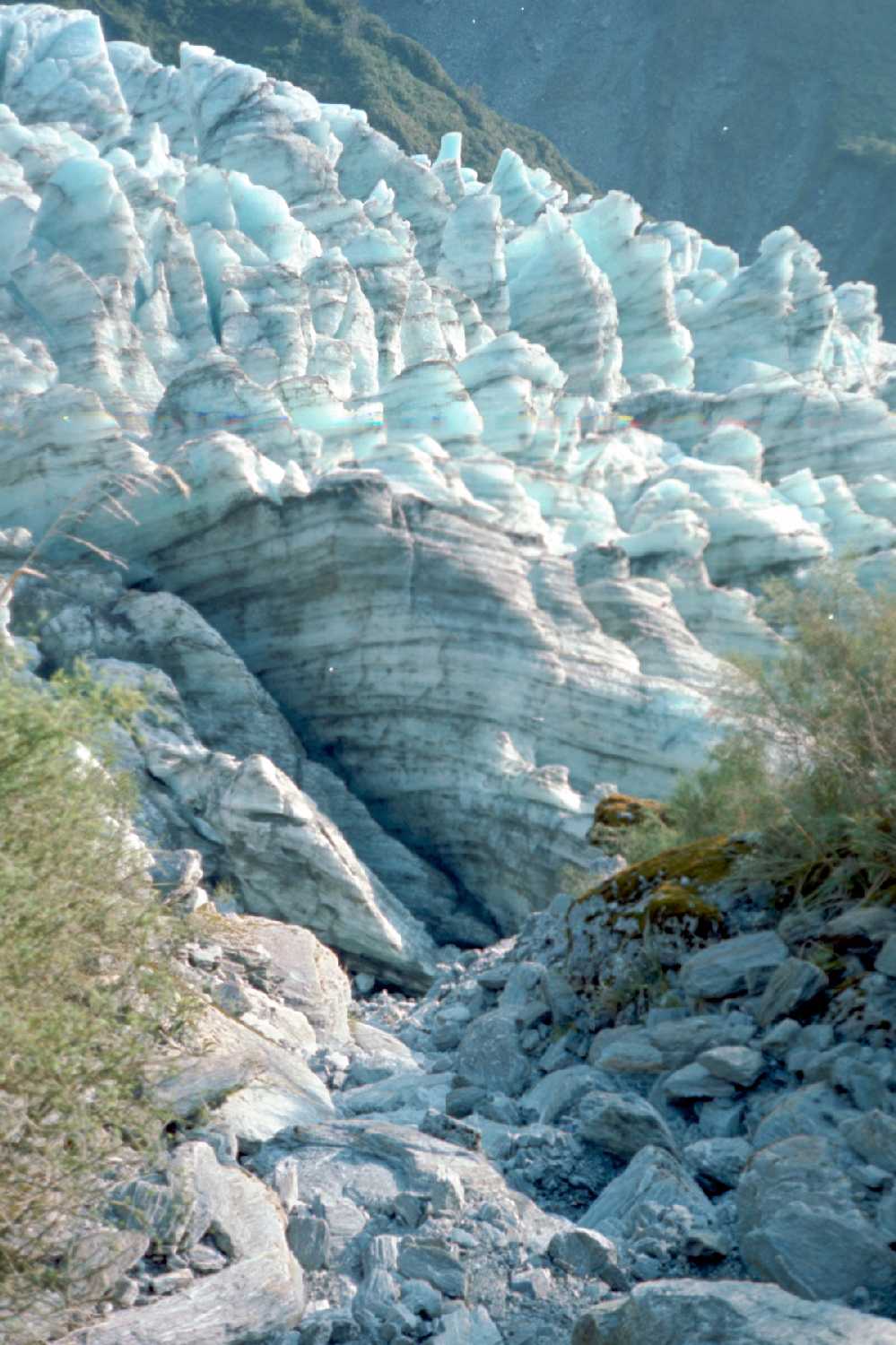 Fox Glacier