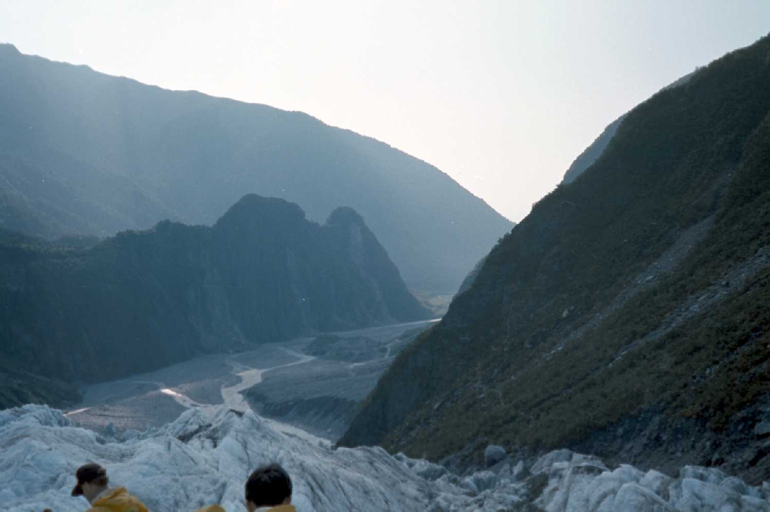 Fox Glacier