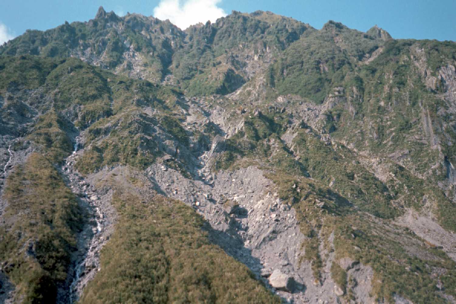 Fox Glacier