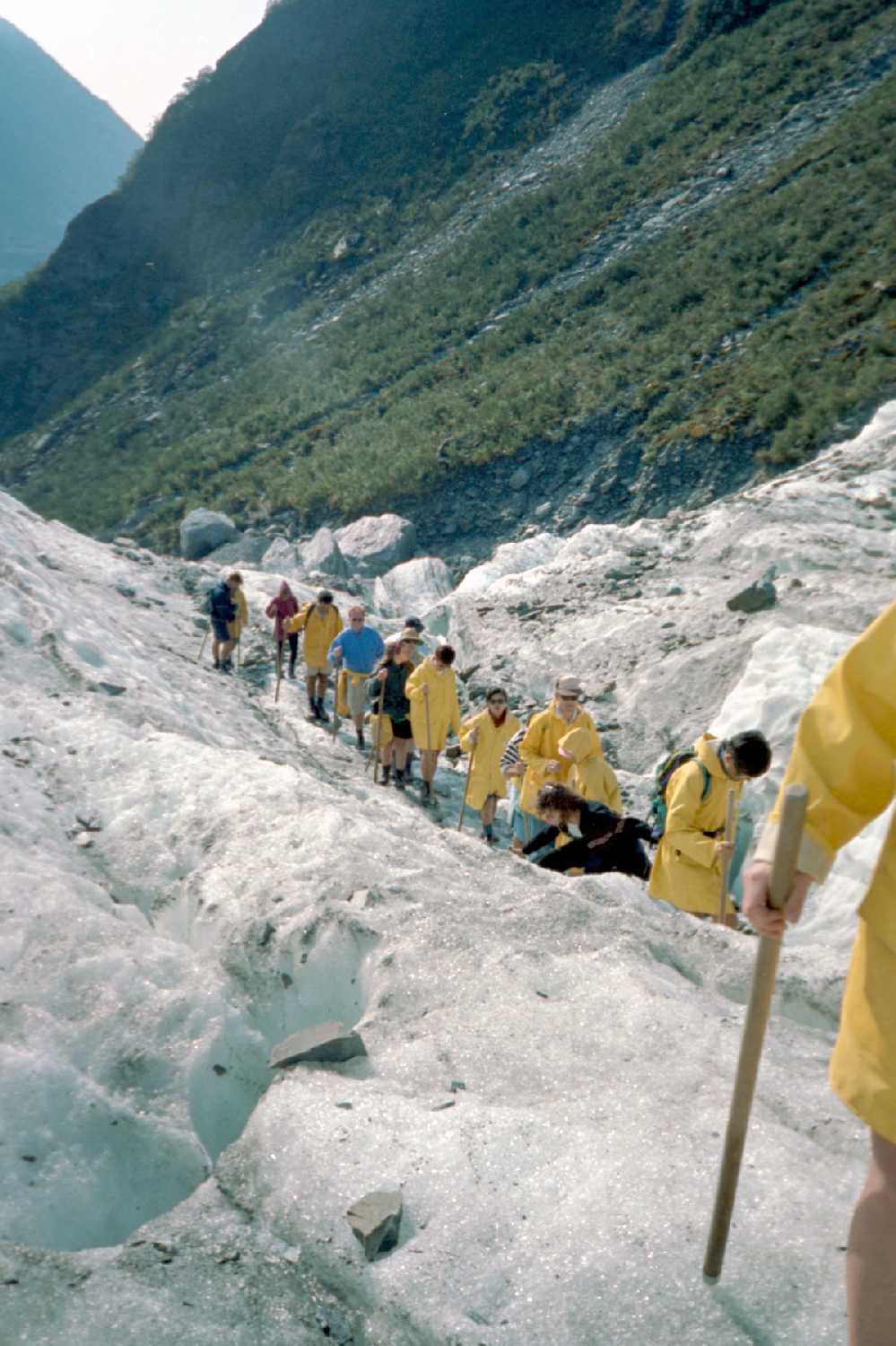 Fox Glacier