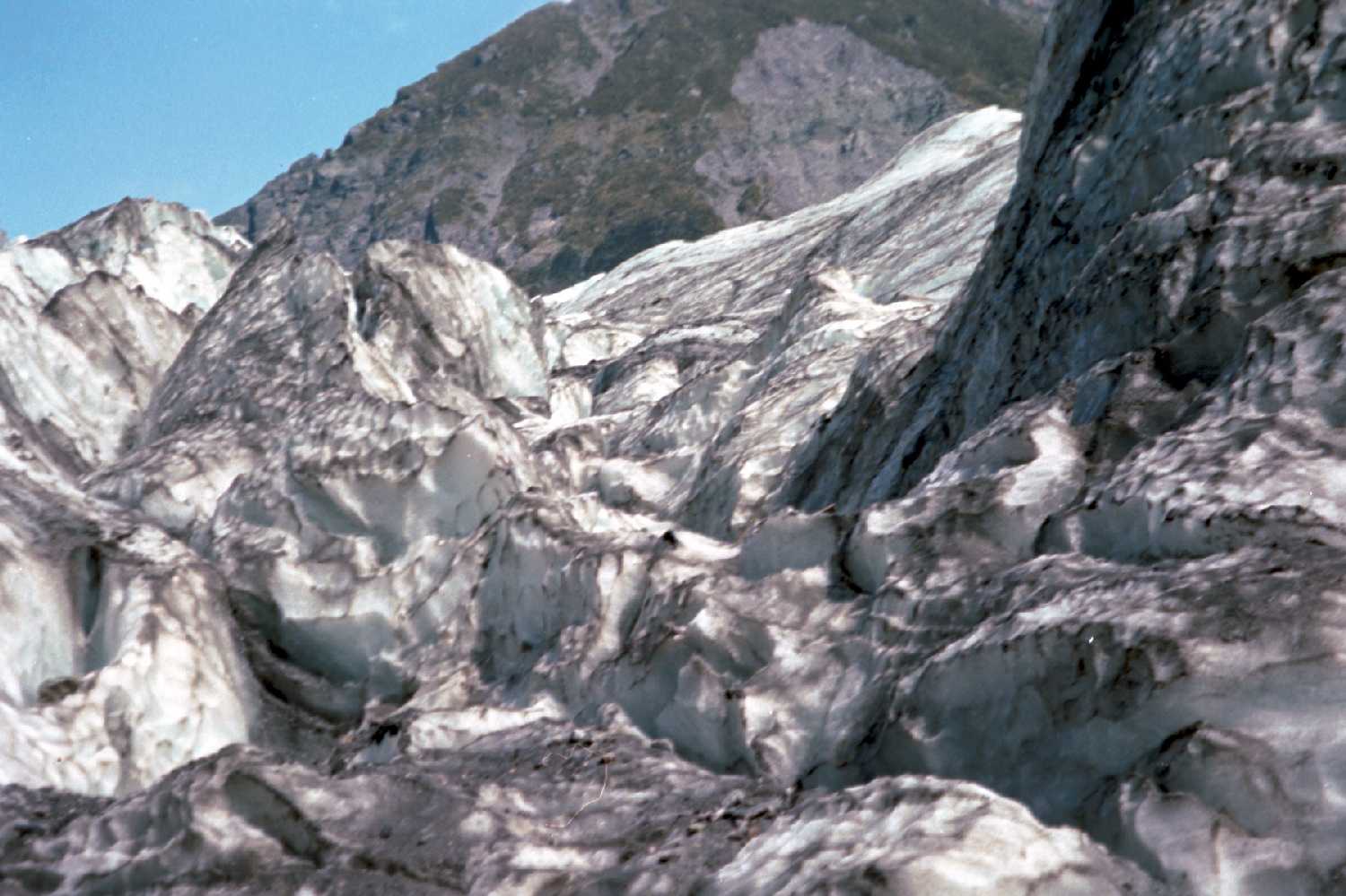 Fox Glacier