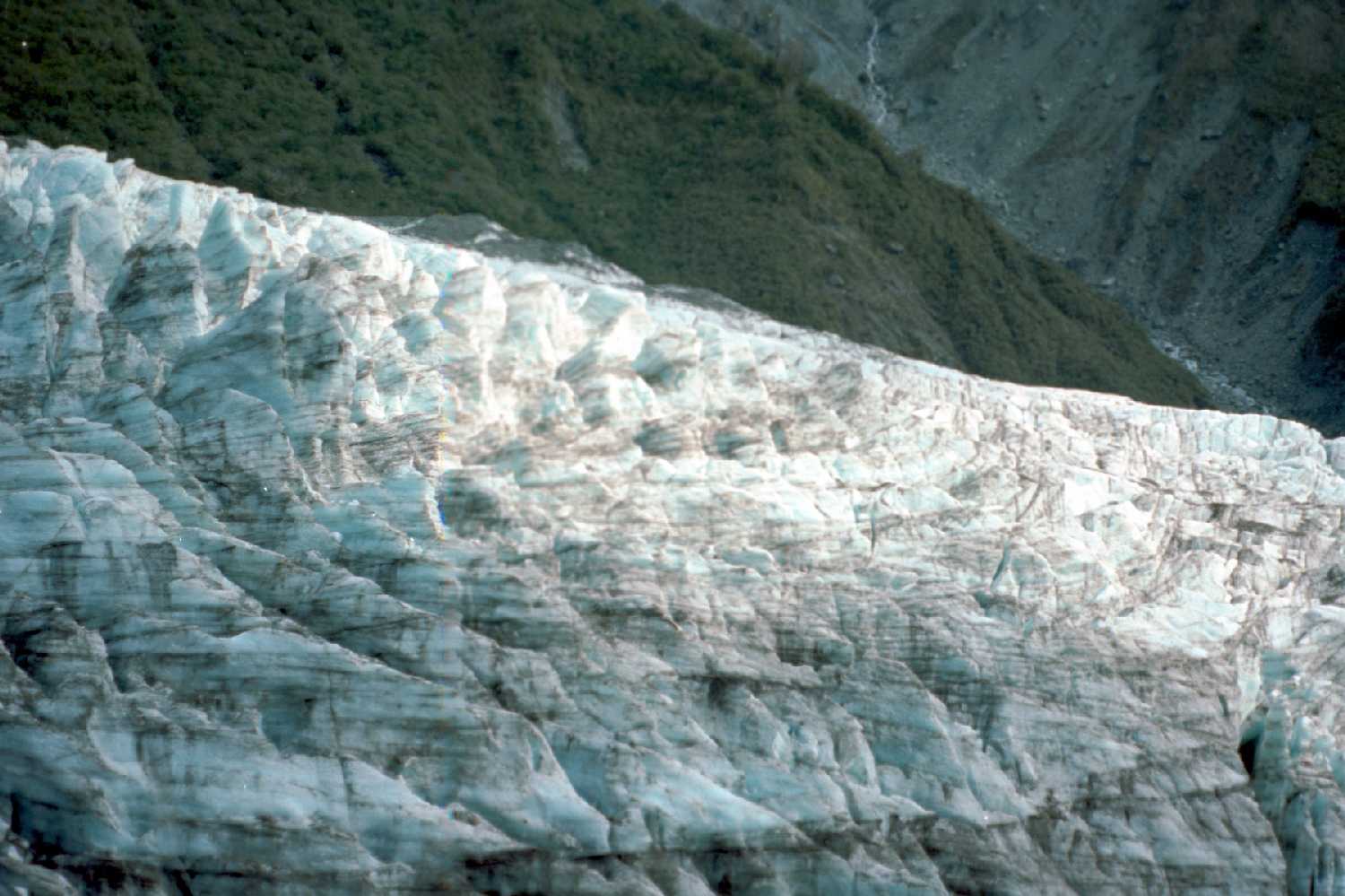 Fox Glacier