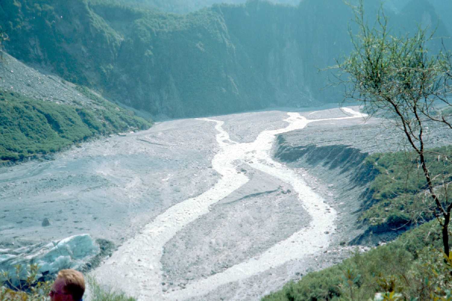 Fox Glacier