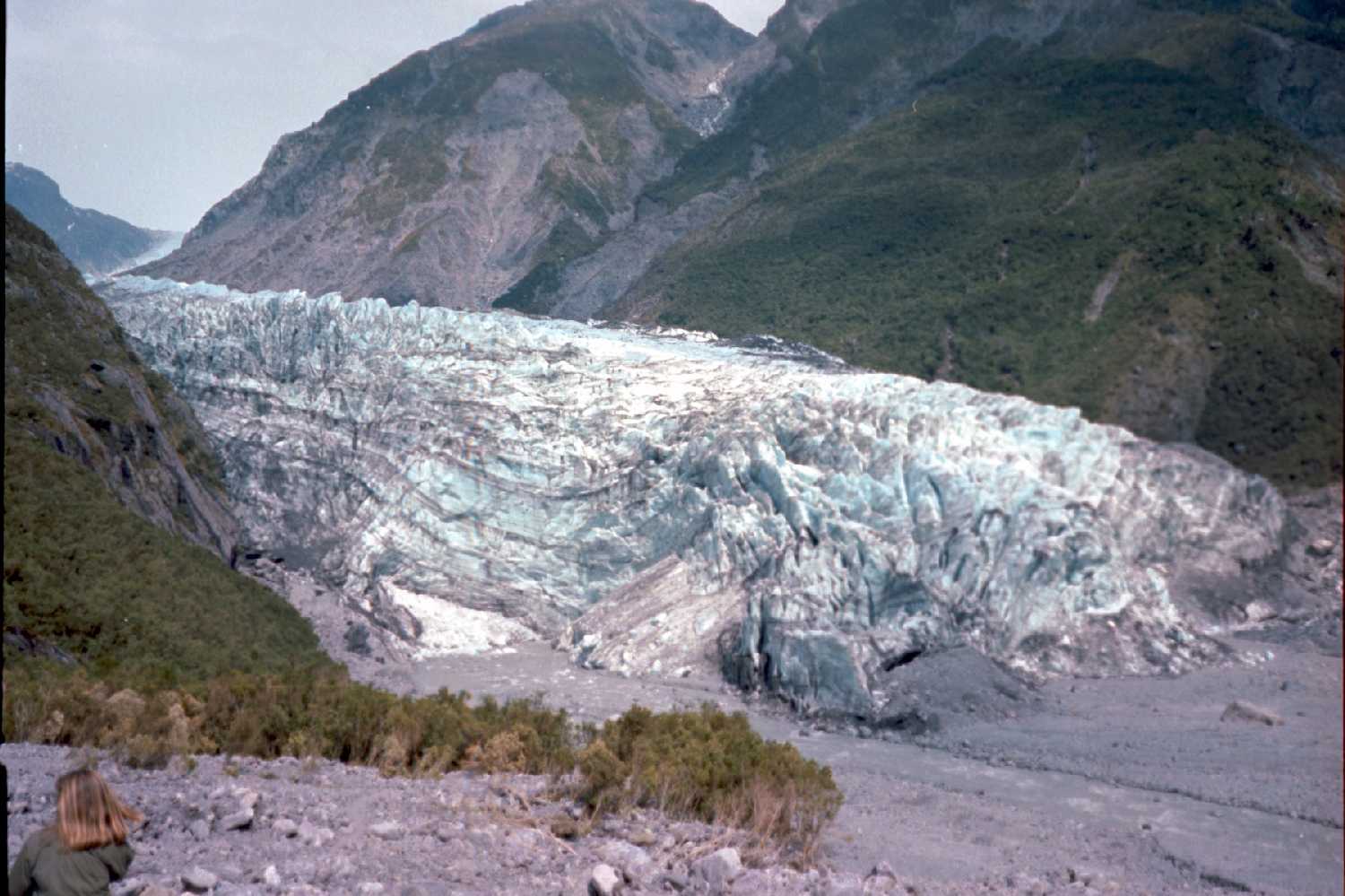 Fox Glacier
