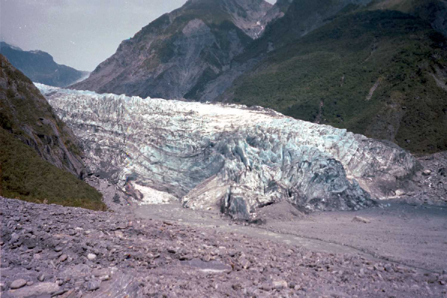 Fox Glacier
