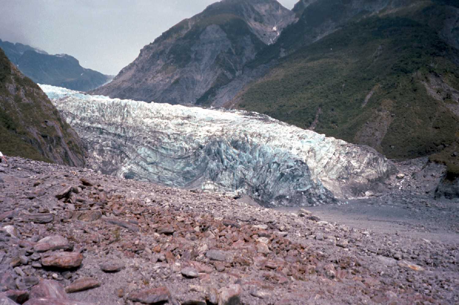 Fox Glacier