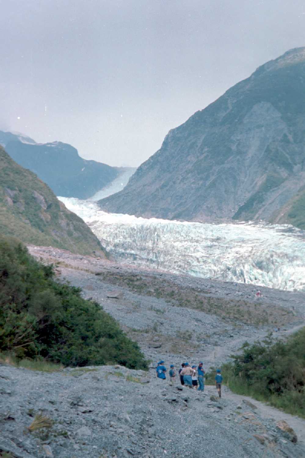 Fox Glacier
