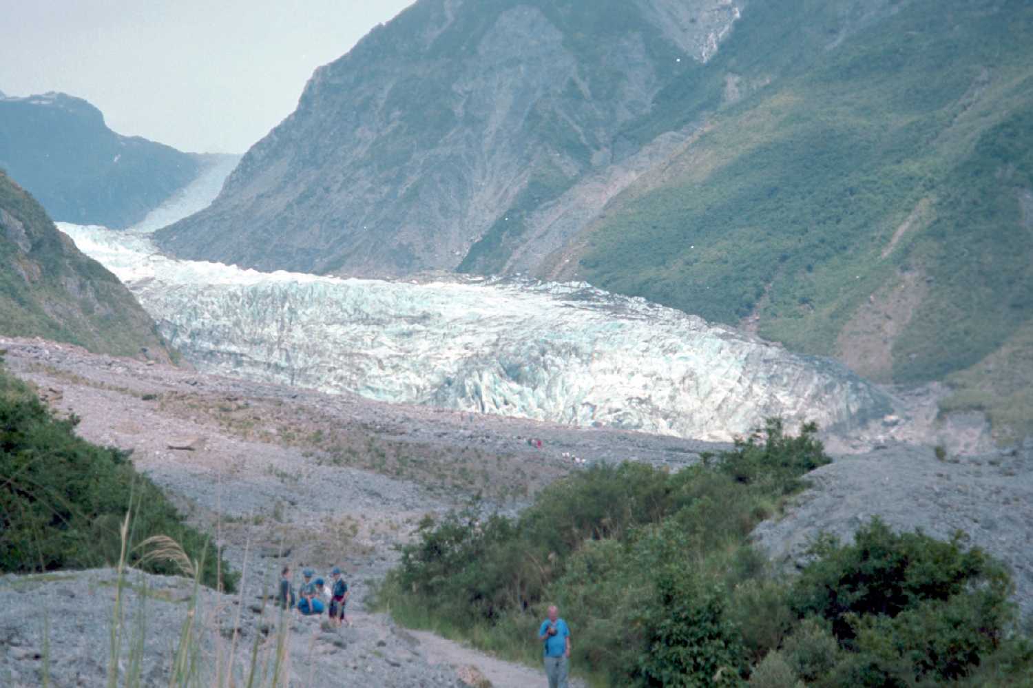 Fox Glacier