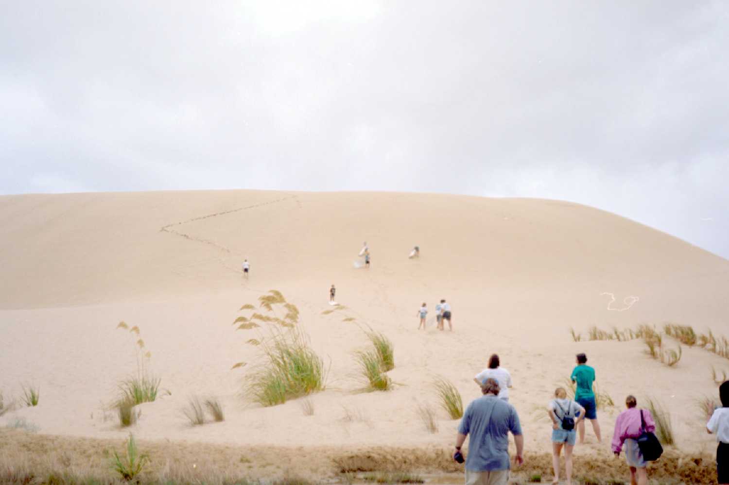 Sand dune