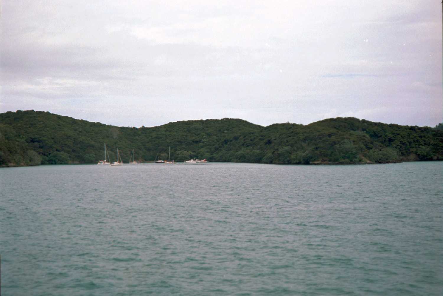 Bay Of Islands