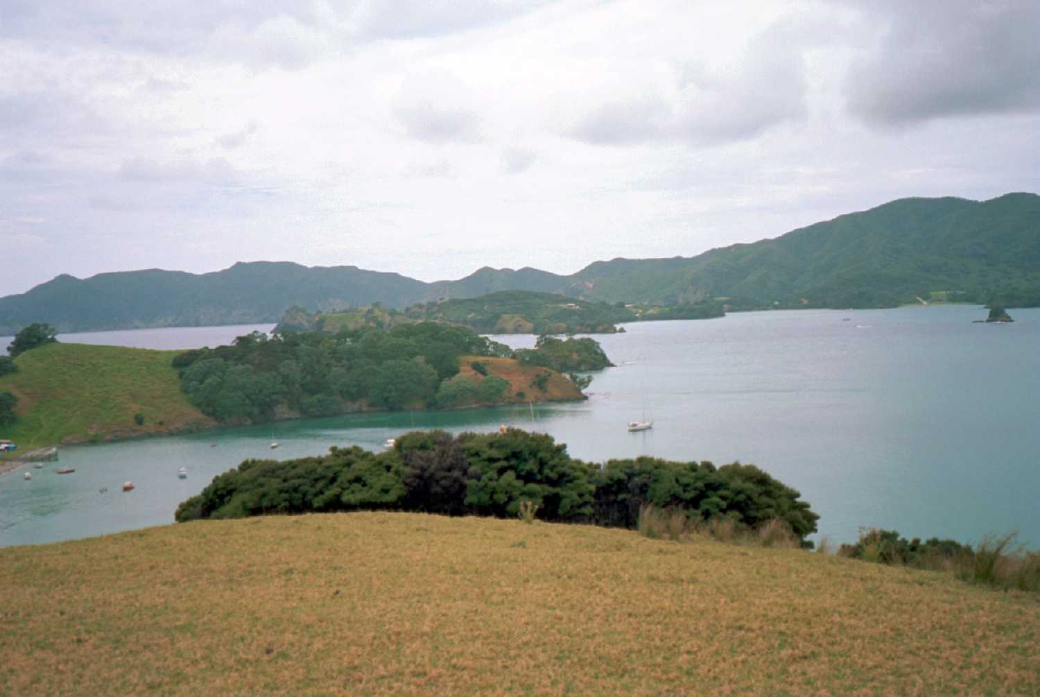 Urupukapuka Island