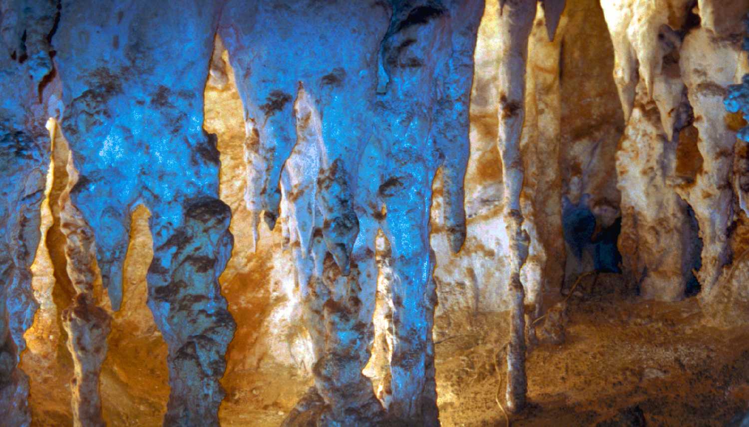 Jenolan Caves