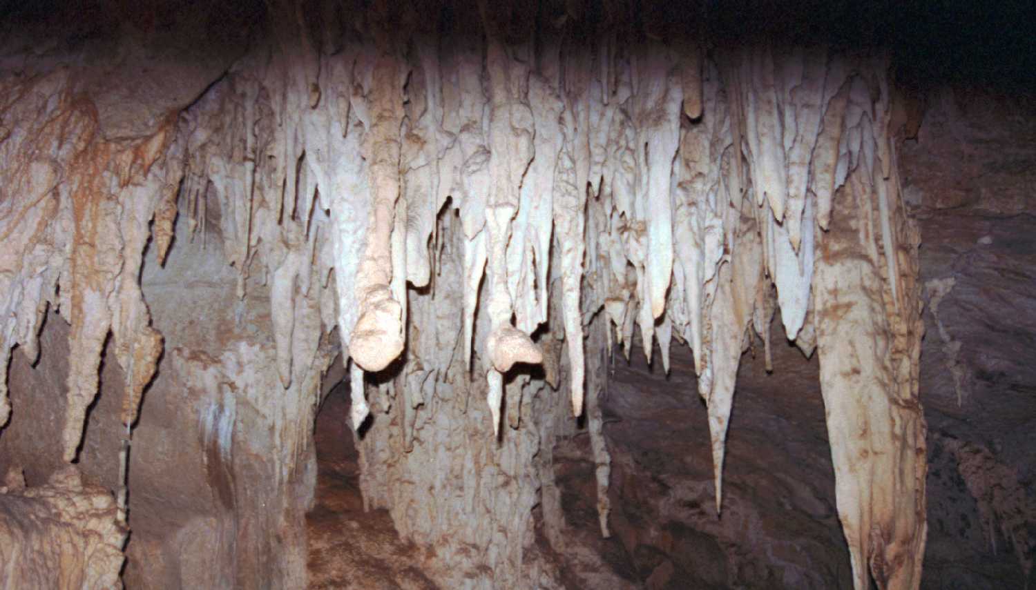 Jenolan Caves