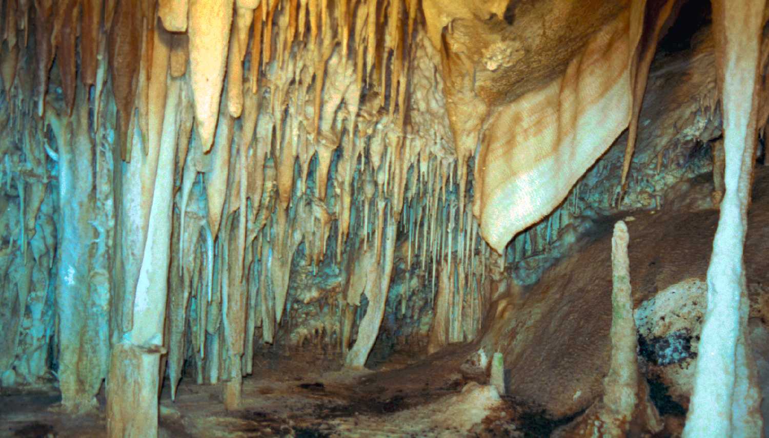 Jenolan Caves