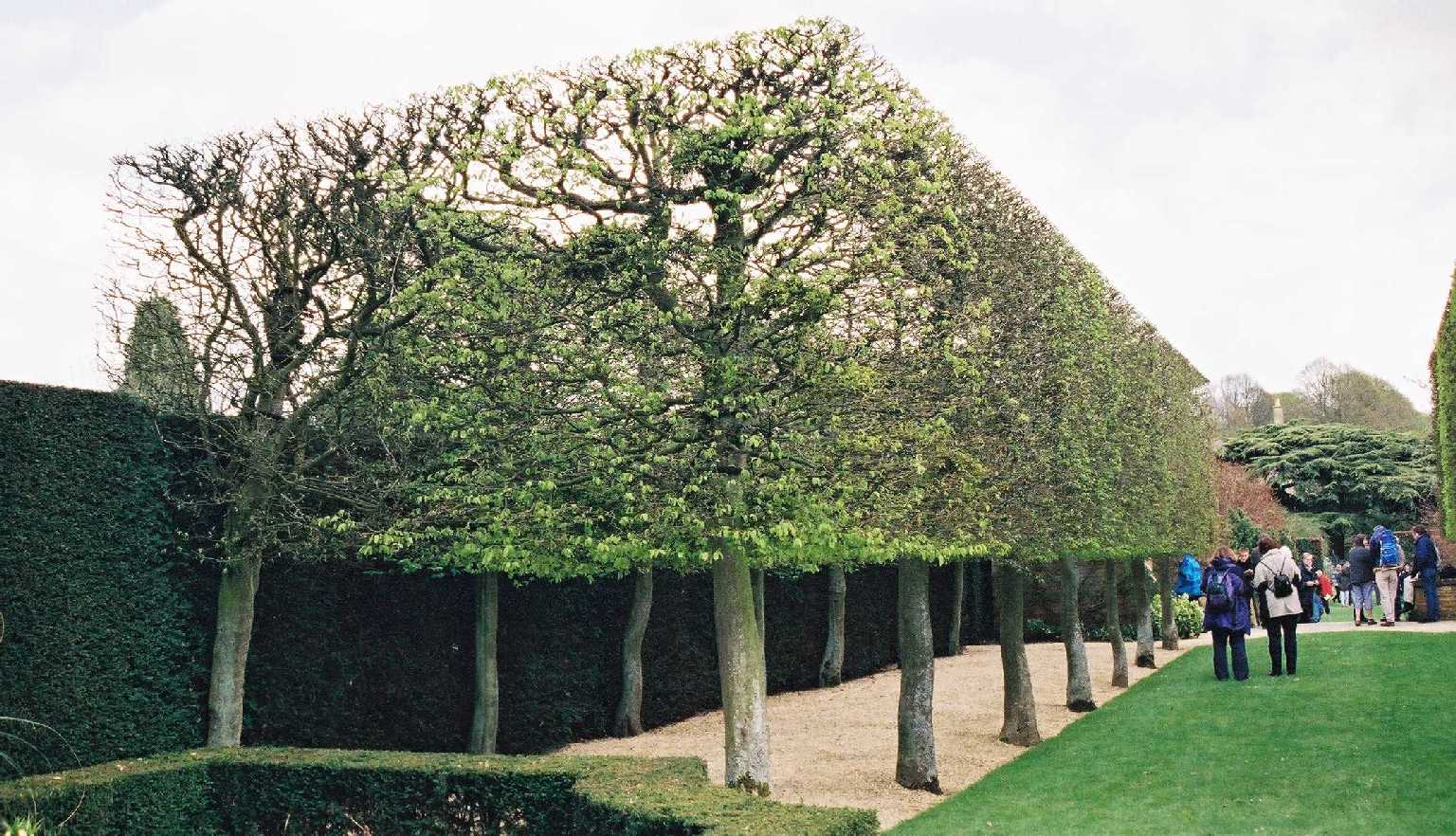 Hidcot Manor