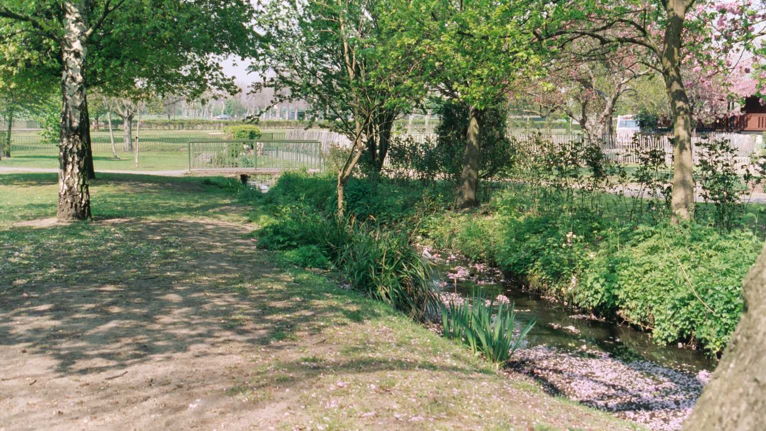 Wimbledon Common