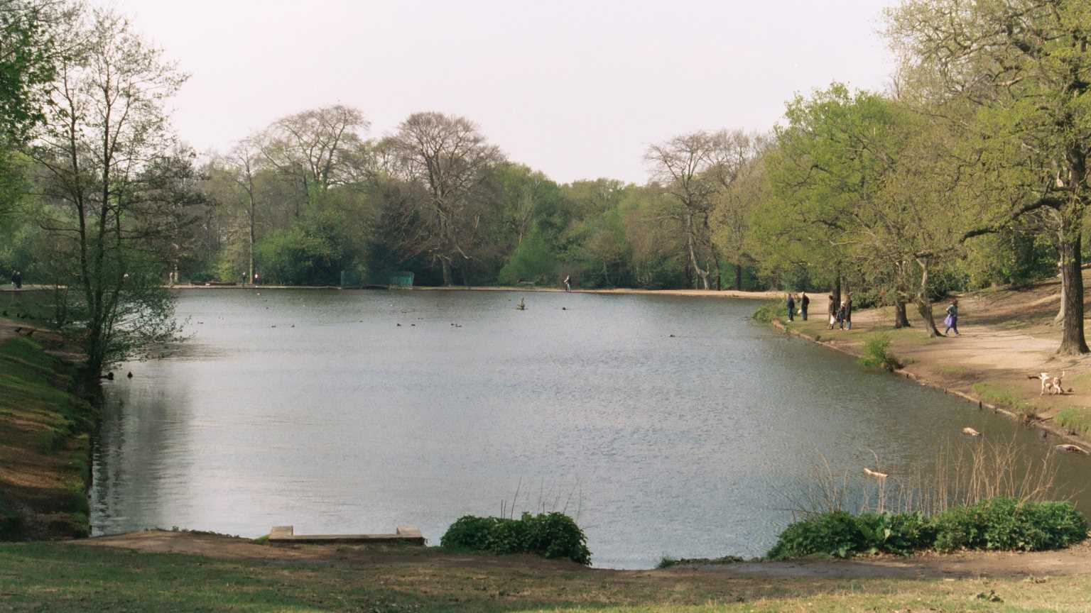 Wimbledon Common