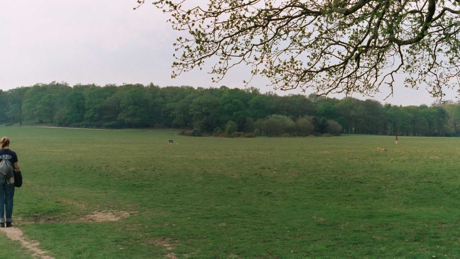 Spankers Hill Wood - Richmond Park