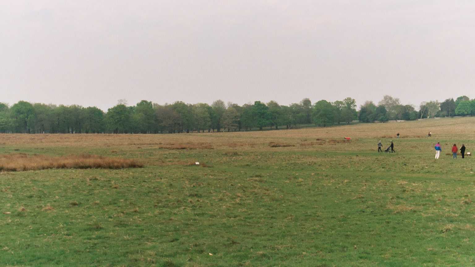 Richmond Park