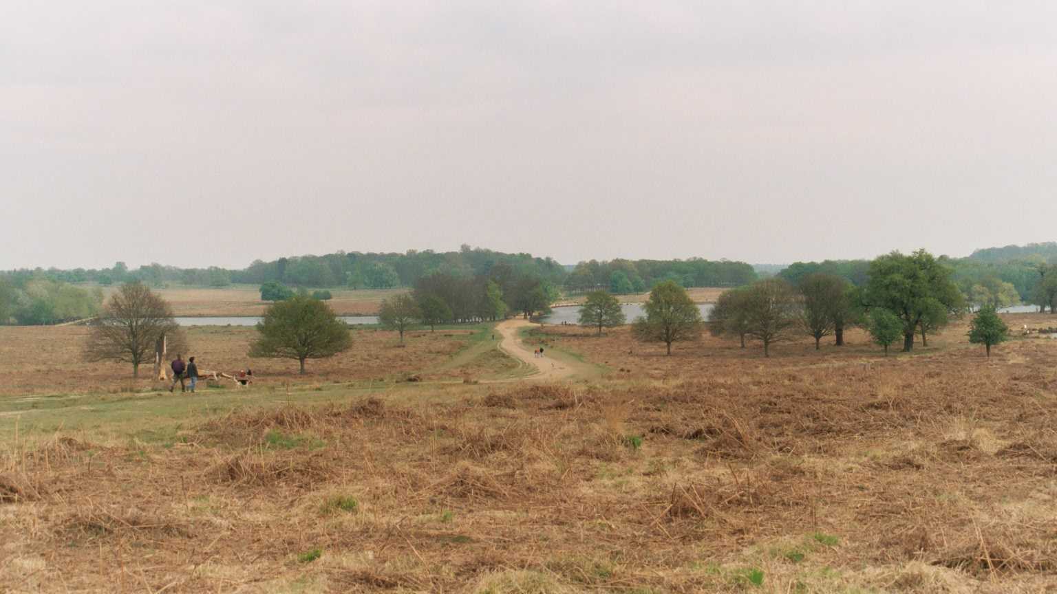 Pen Ponds