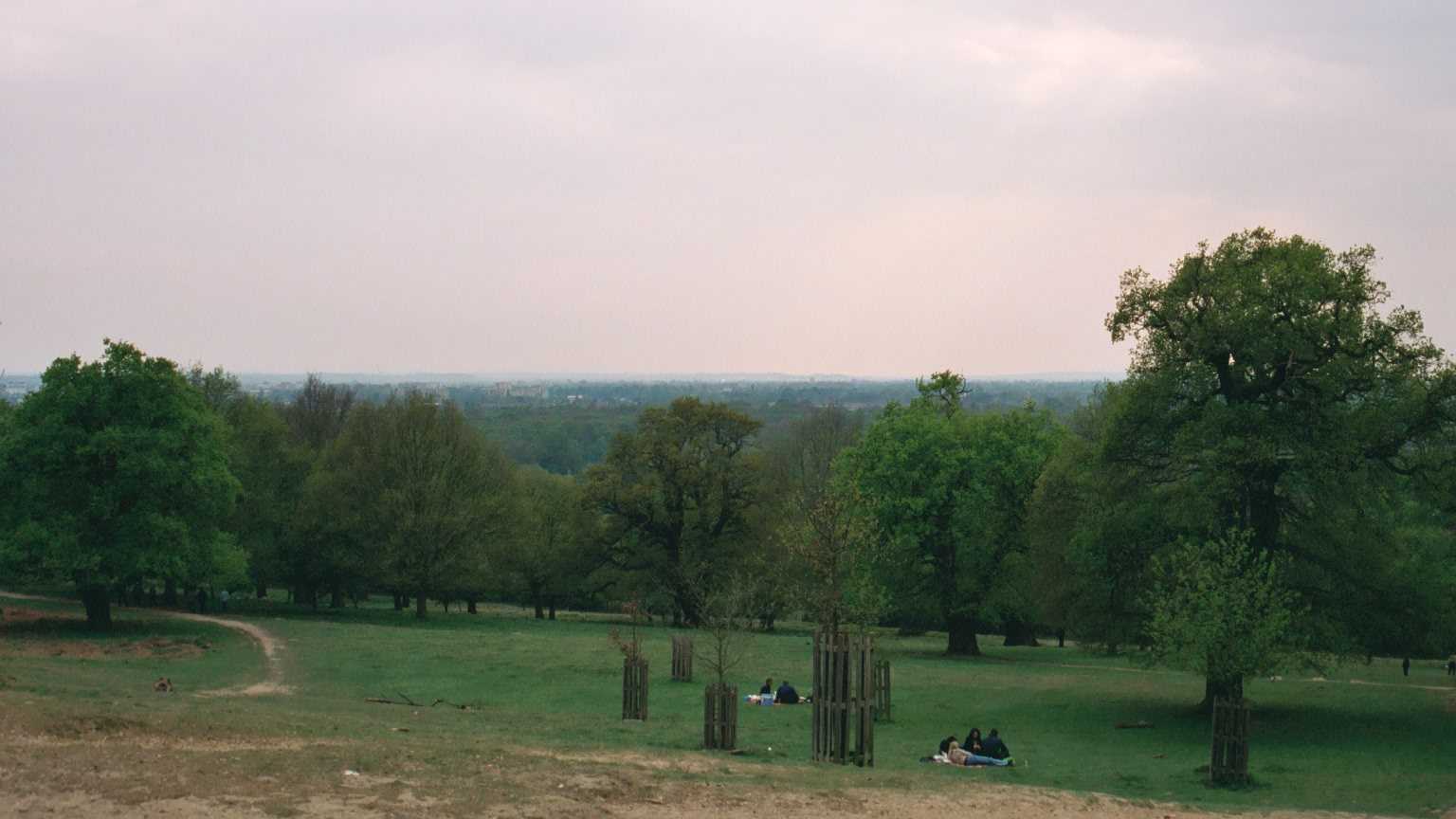 South West London from Richmond Park
