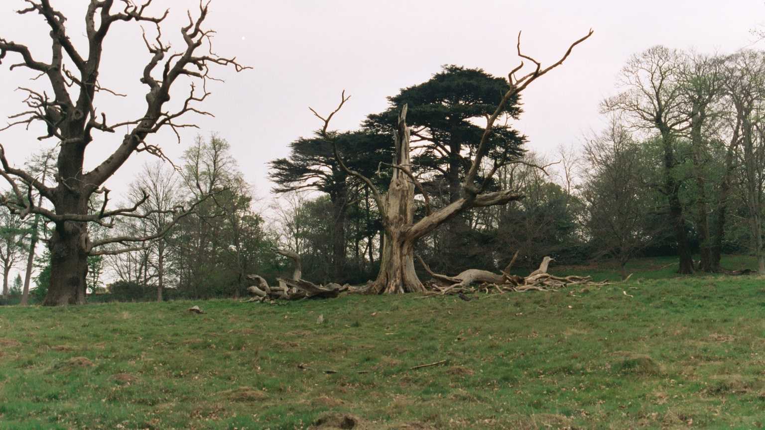 Richmond Park