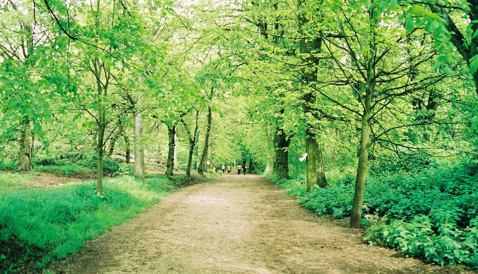 Hampstead Heath