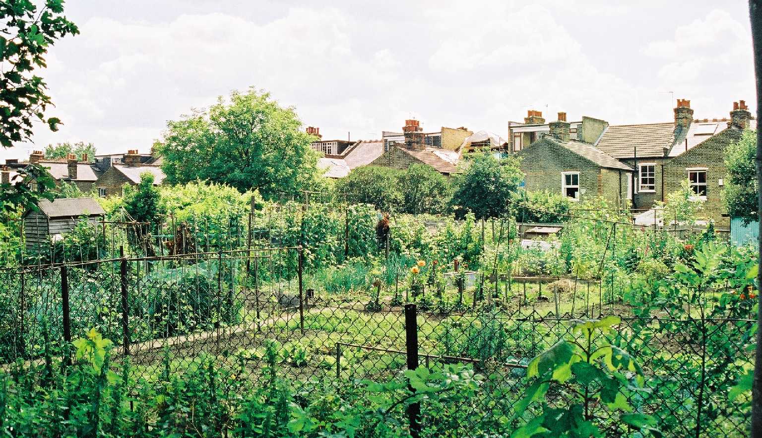 Allotments