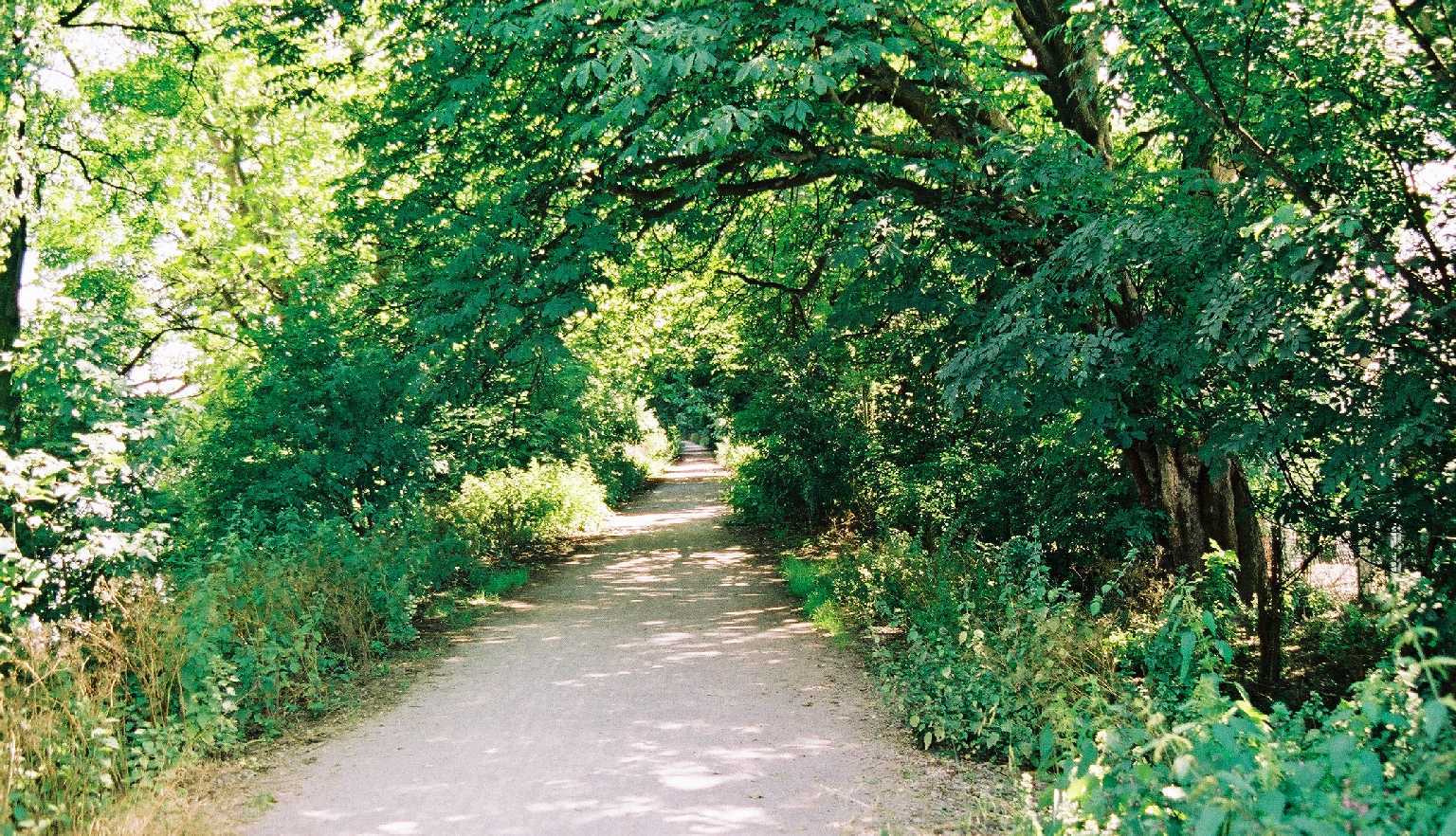 Thames Tow Path
