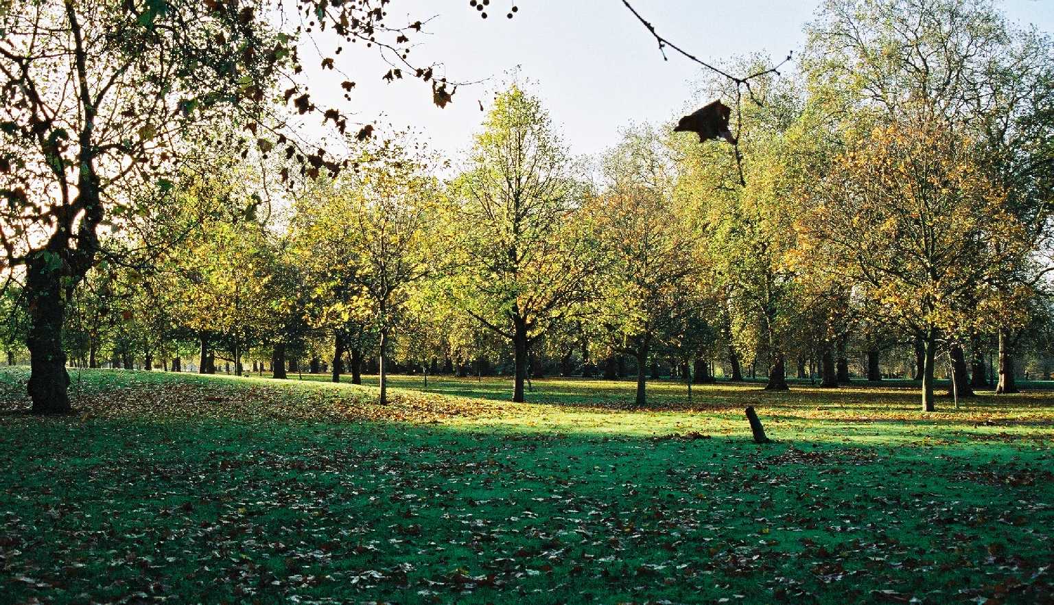 Hyde Park