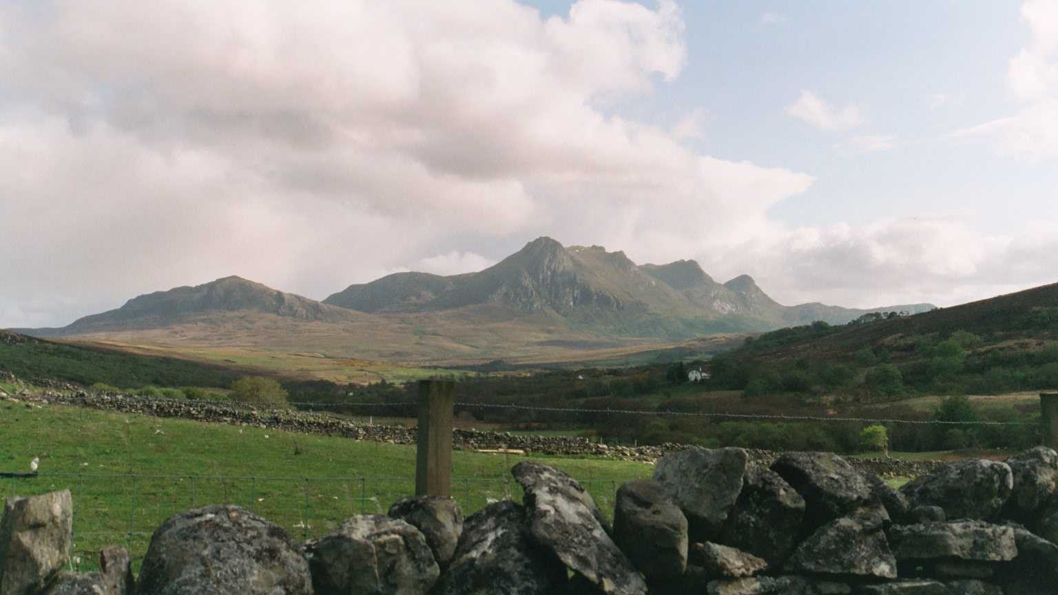 Ben Loyal