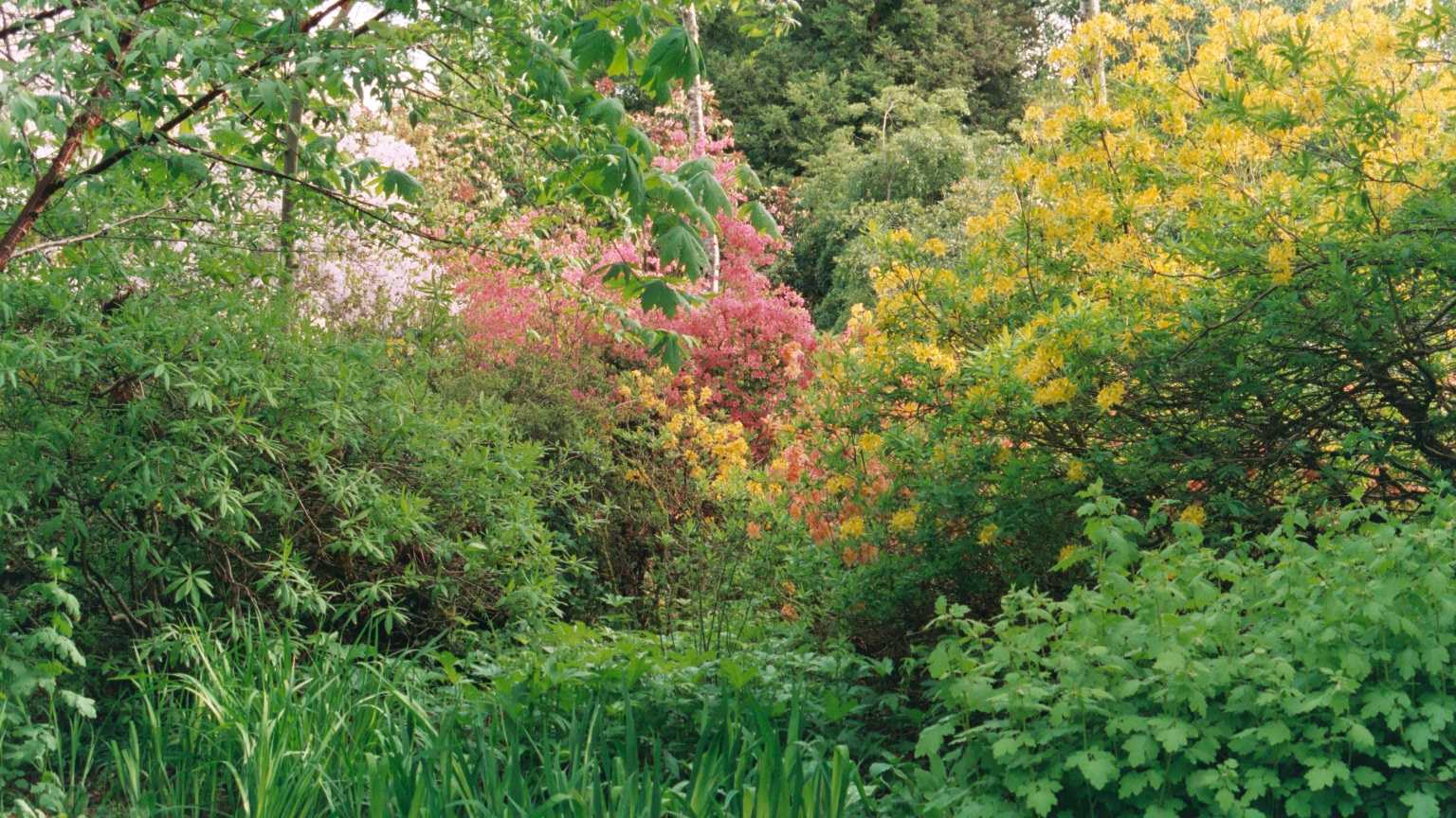Inverewe
