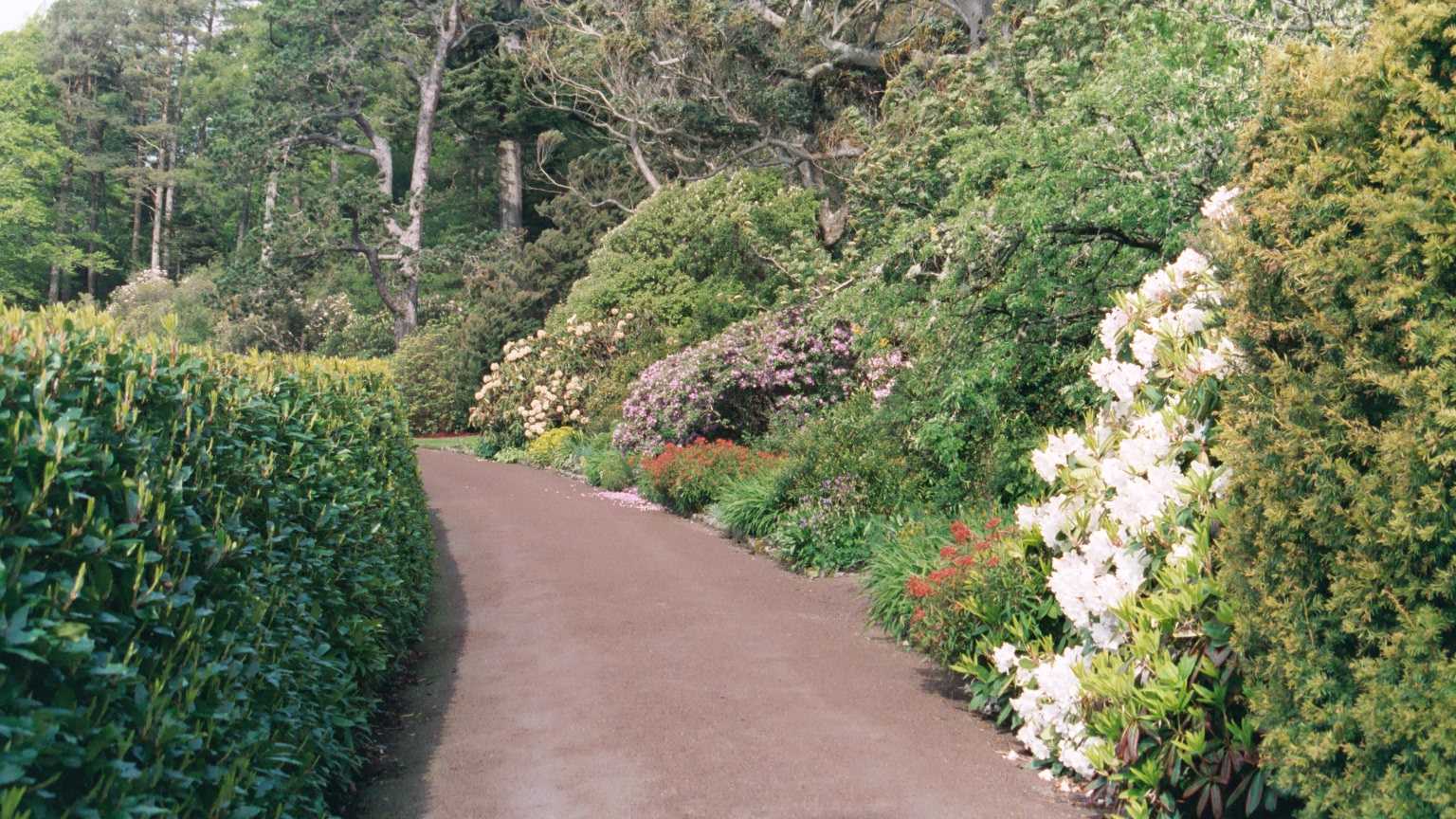 Inverewe