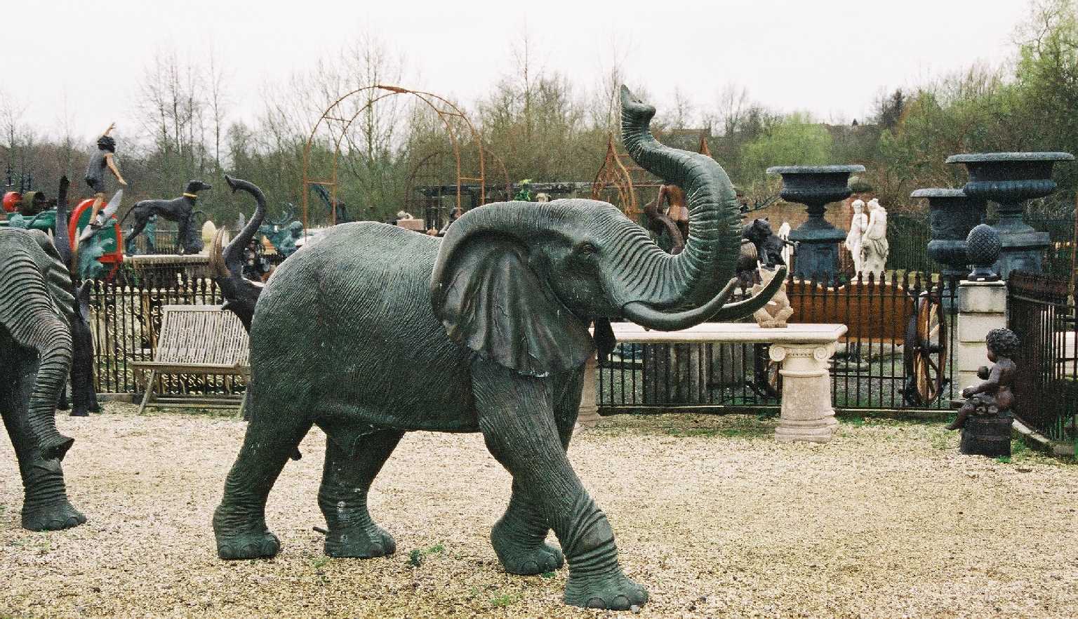 Elephant