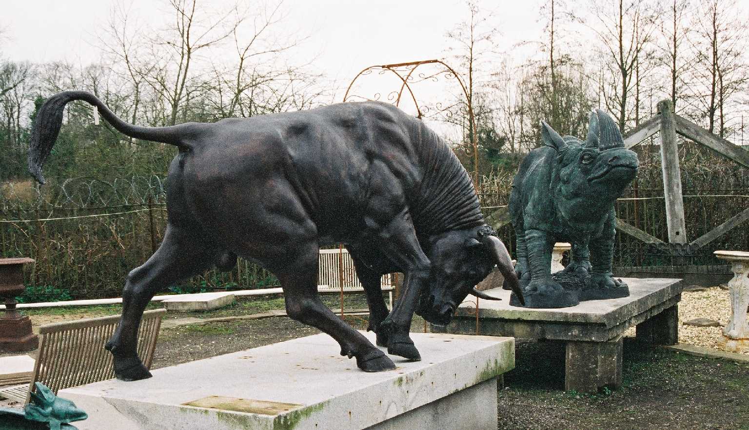 Bull