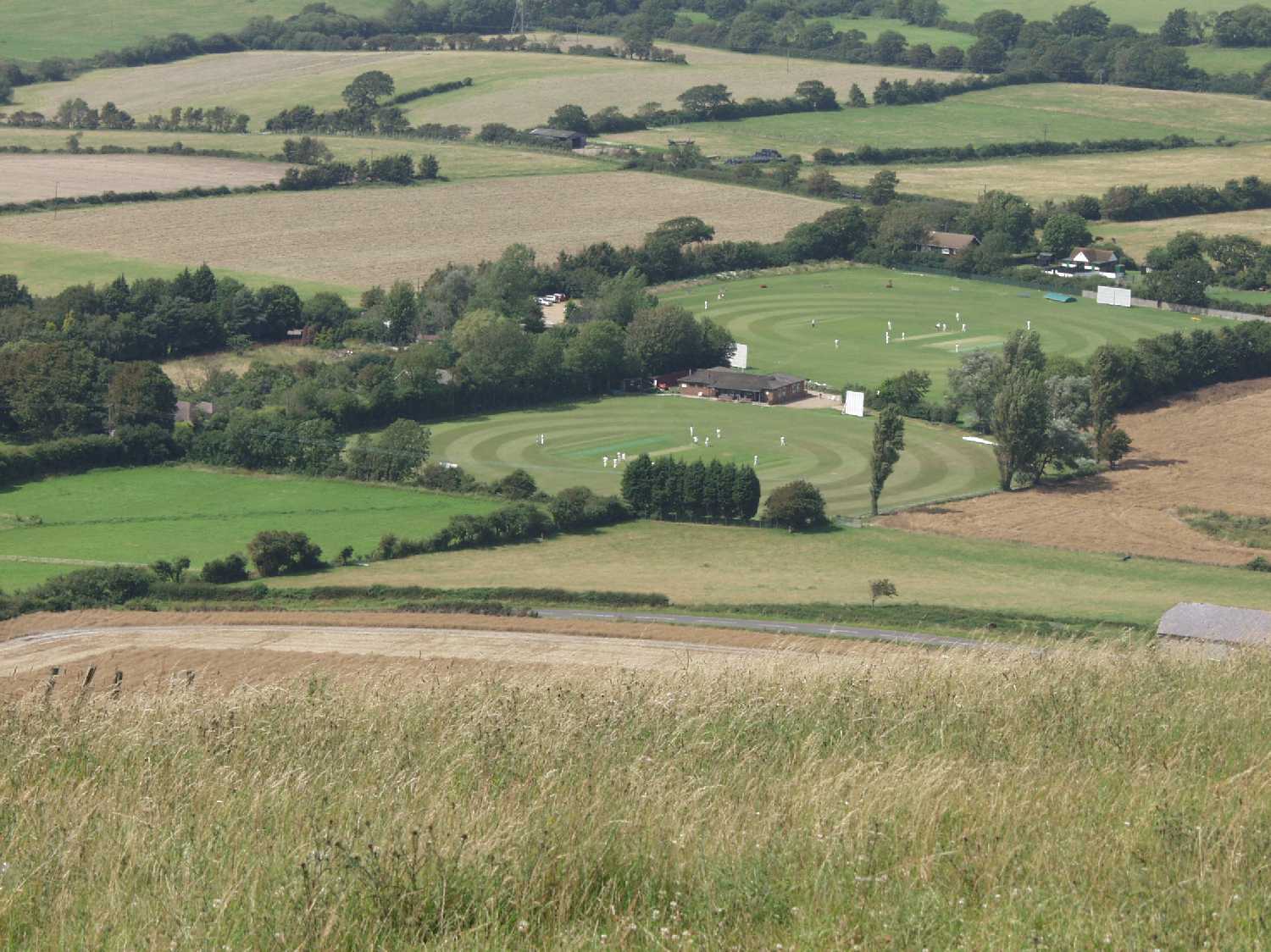 Cricket pitches