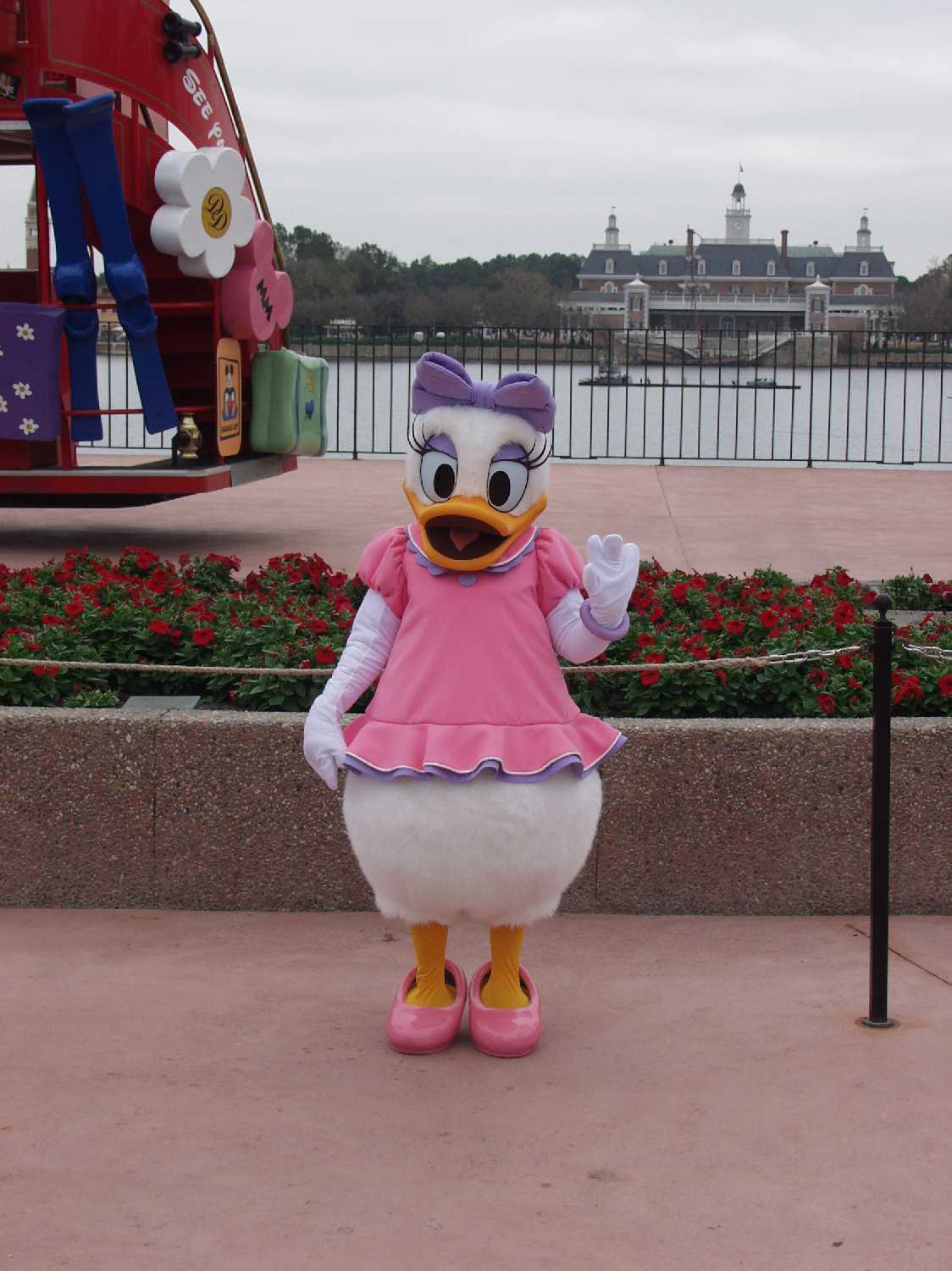Mrs Donald Duck